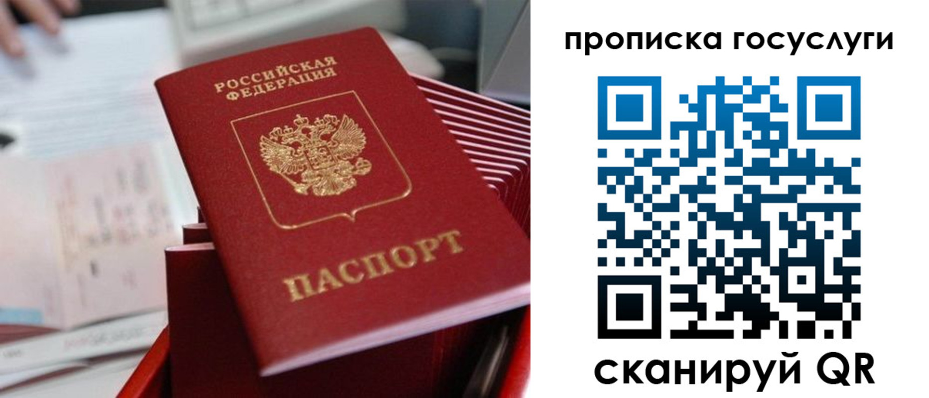 прописка законно в Выксе